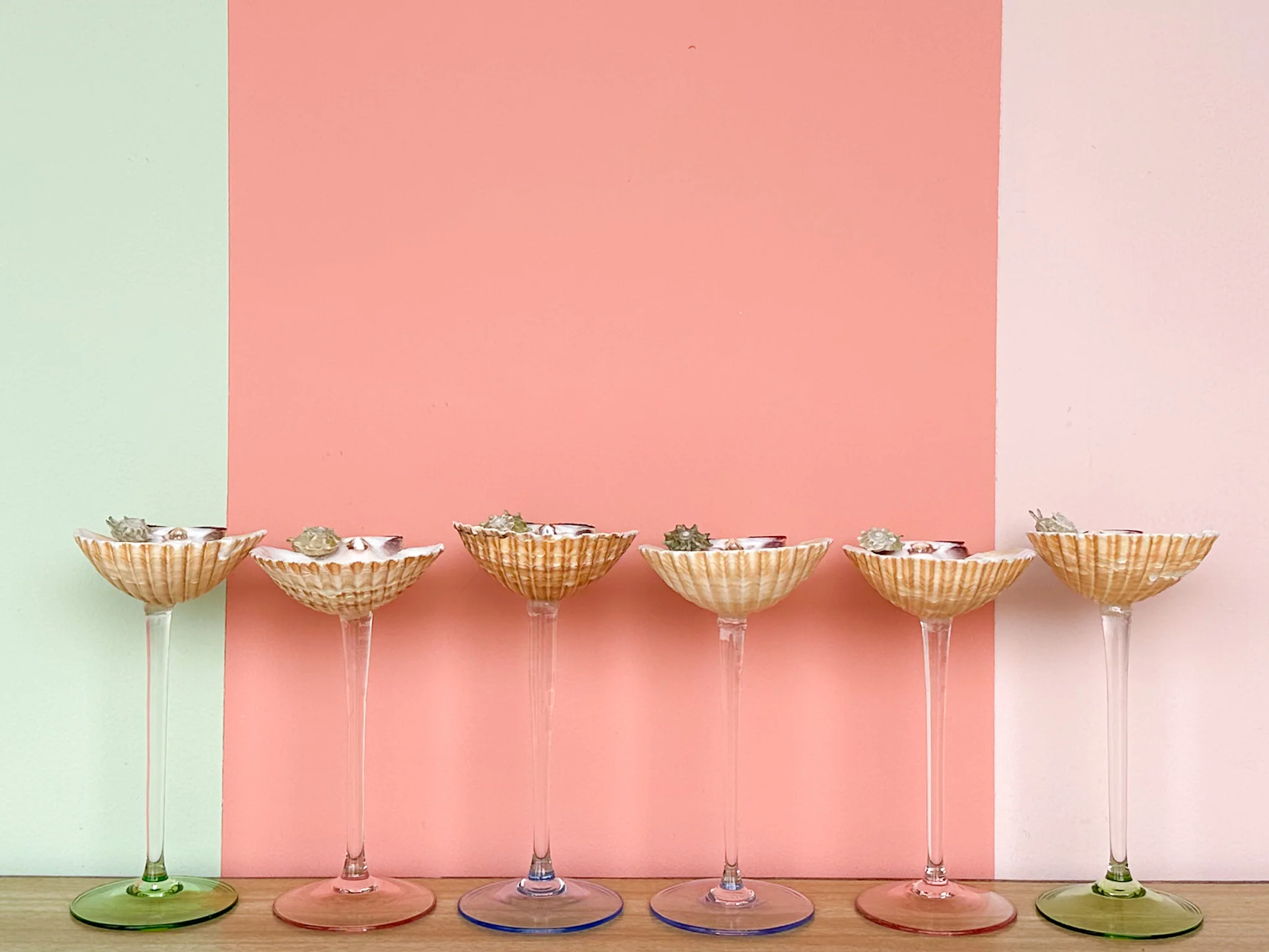 Set of Six Pastel Shell Coupes - Image 3