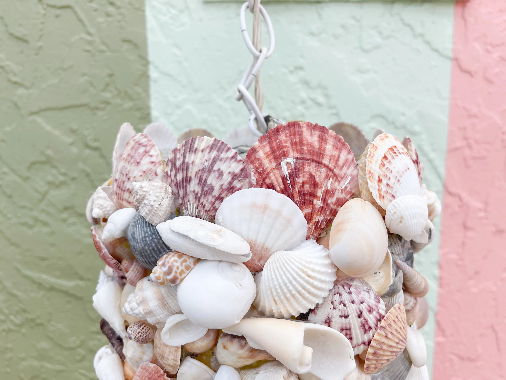 Warehouse Wednesday Sale: Shell Chic Chandelier - Image 2