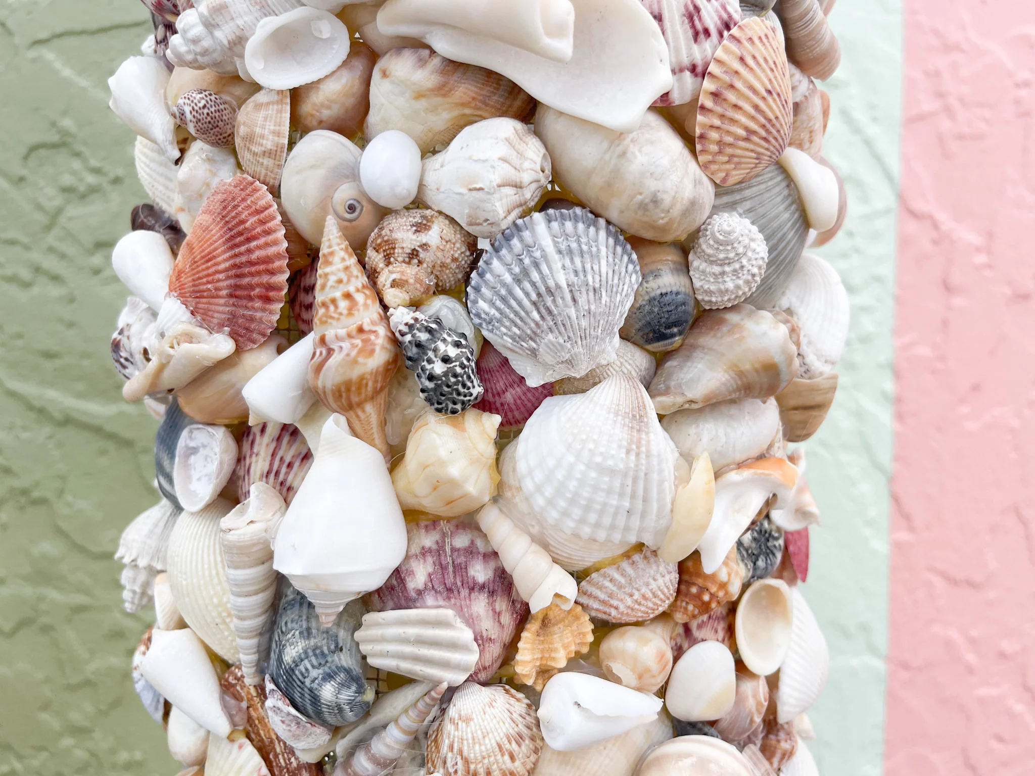 Warehouse Wednesday Sale: Shell Chic Chandelier - Image 3