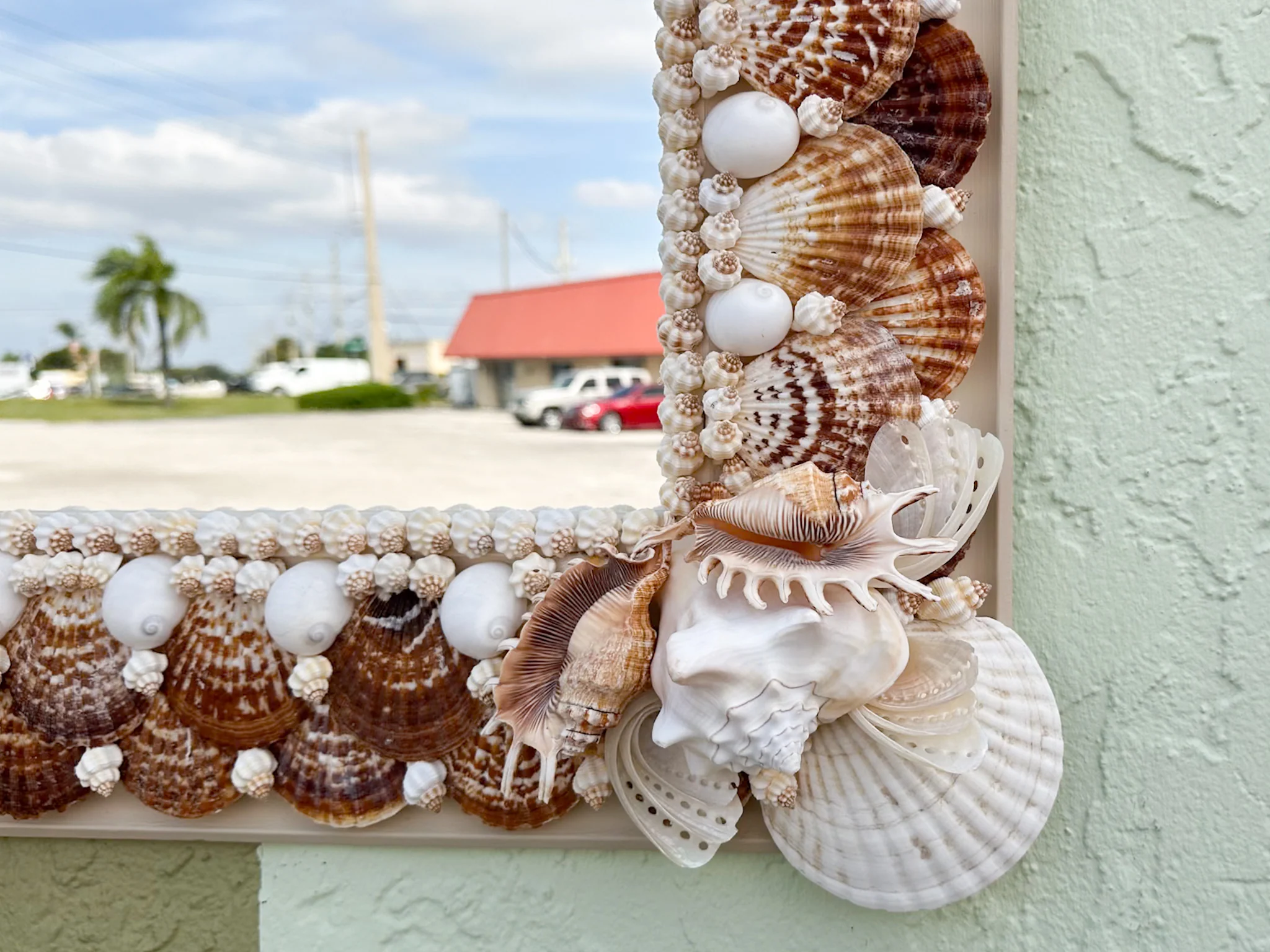 Shell Chic Mirror - Image 11
