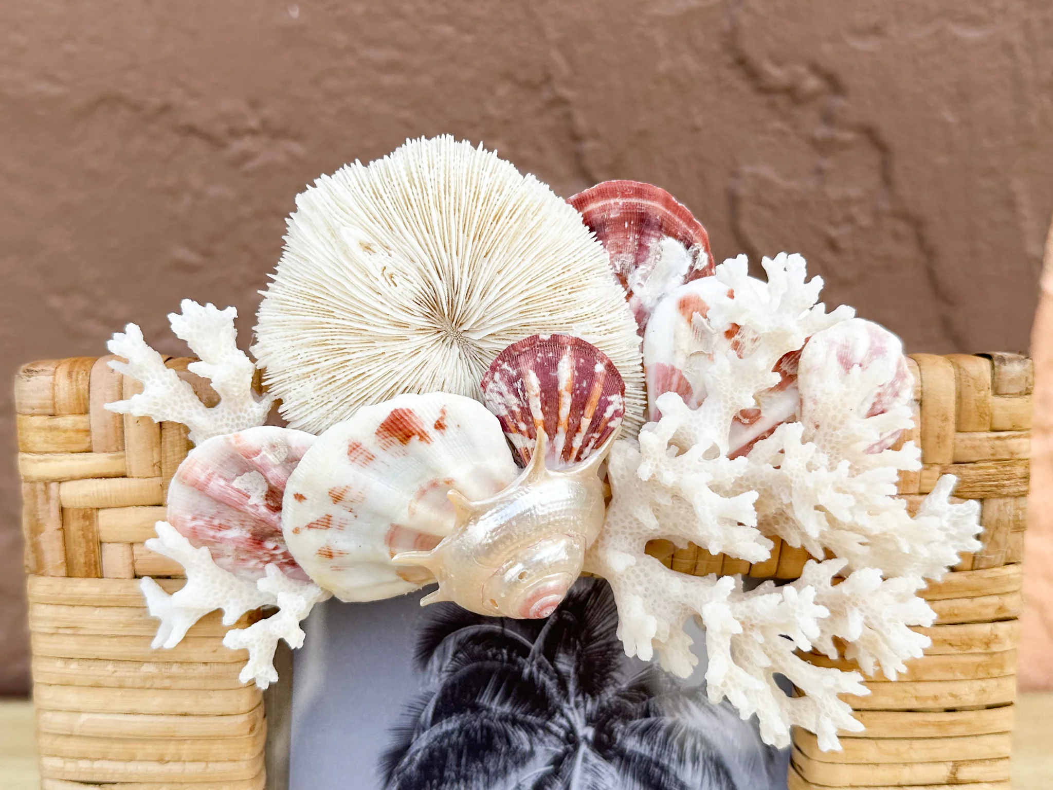 Shell Chic Rattan Frame - Image 5