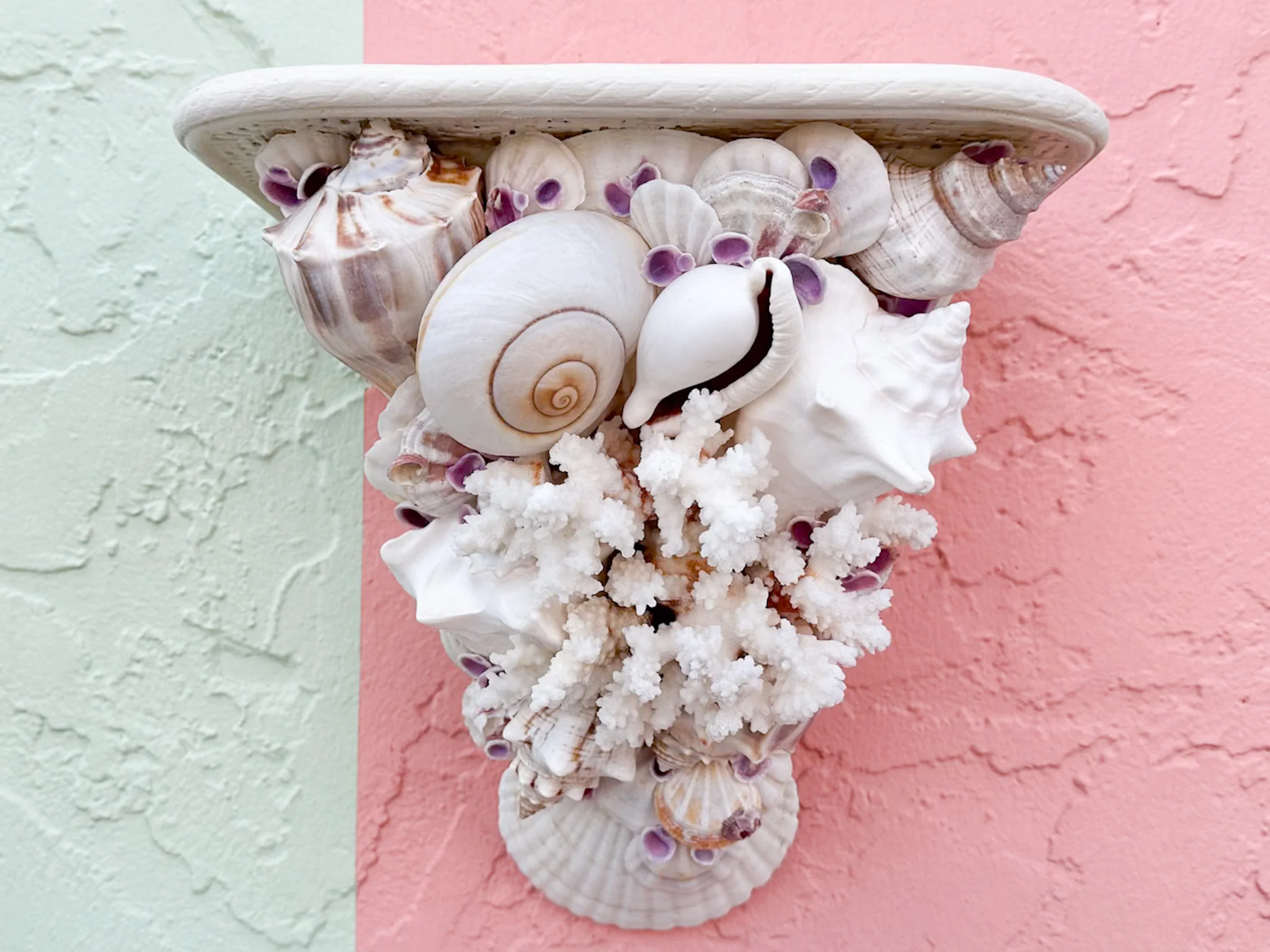 Shell Chic Wall Shelves - Image 3