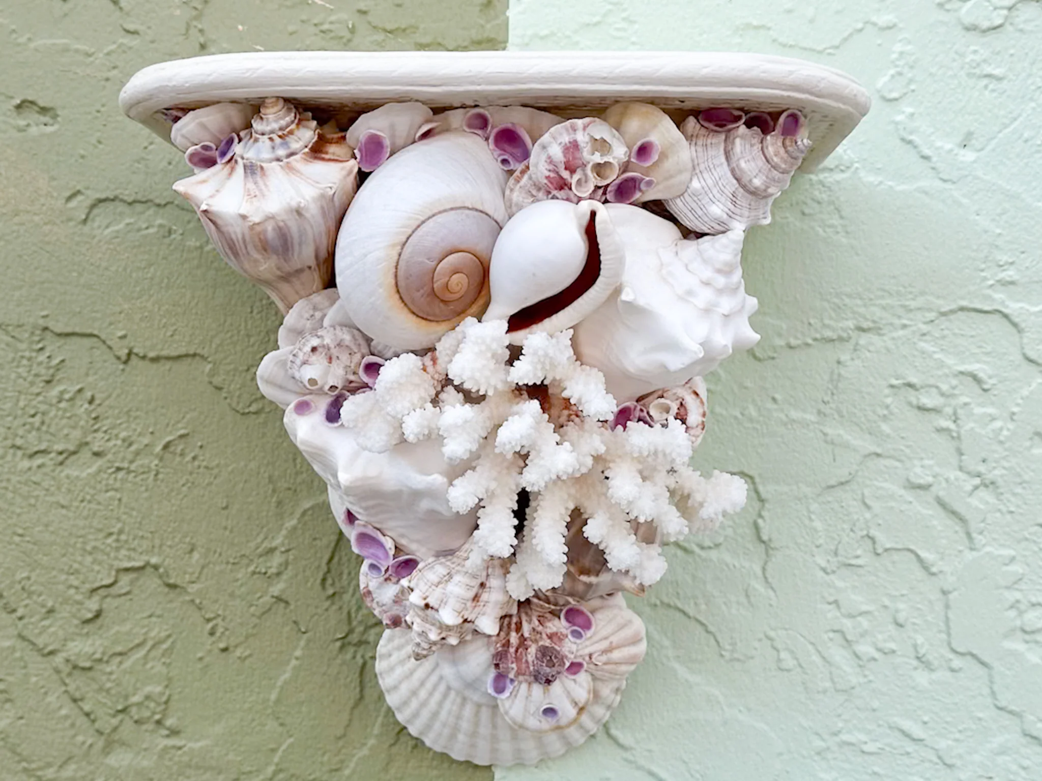 Shell Chic Wall Shelves - Image 4
