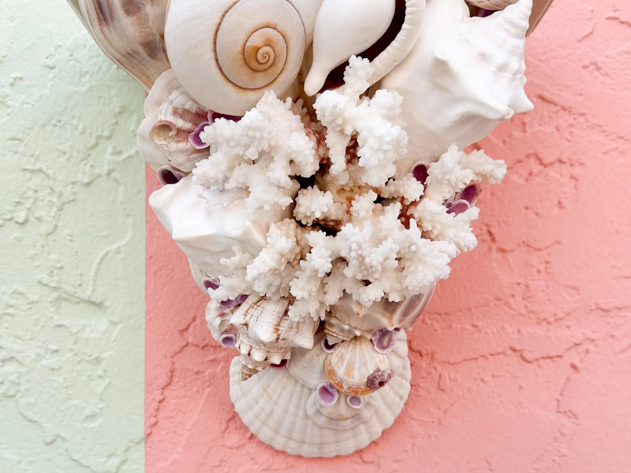 Shell Chic Wall Shelves - Image 7