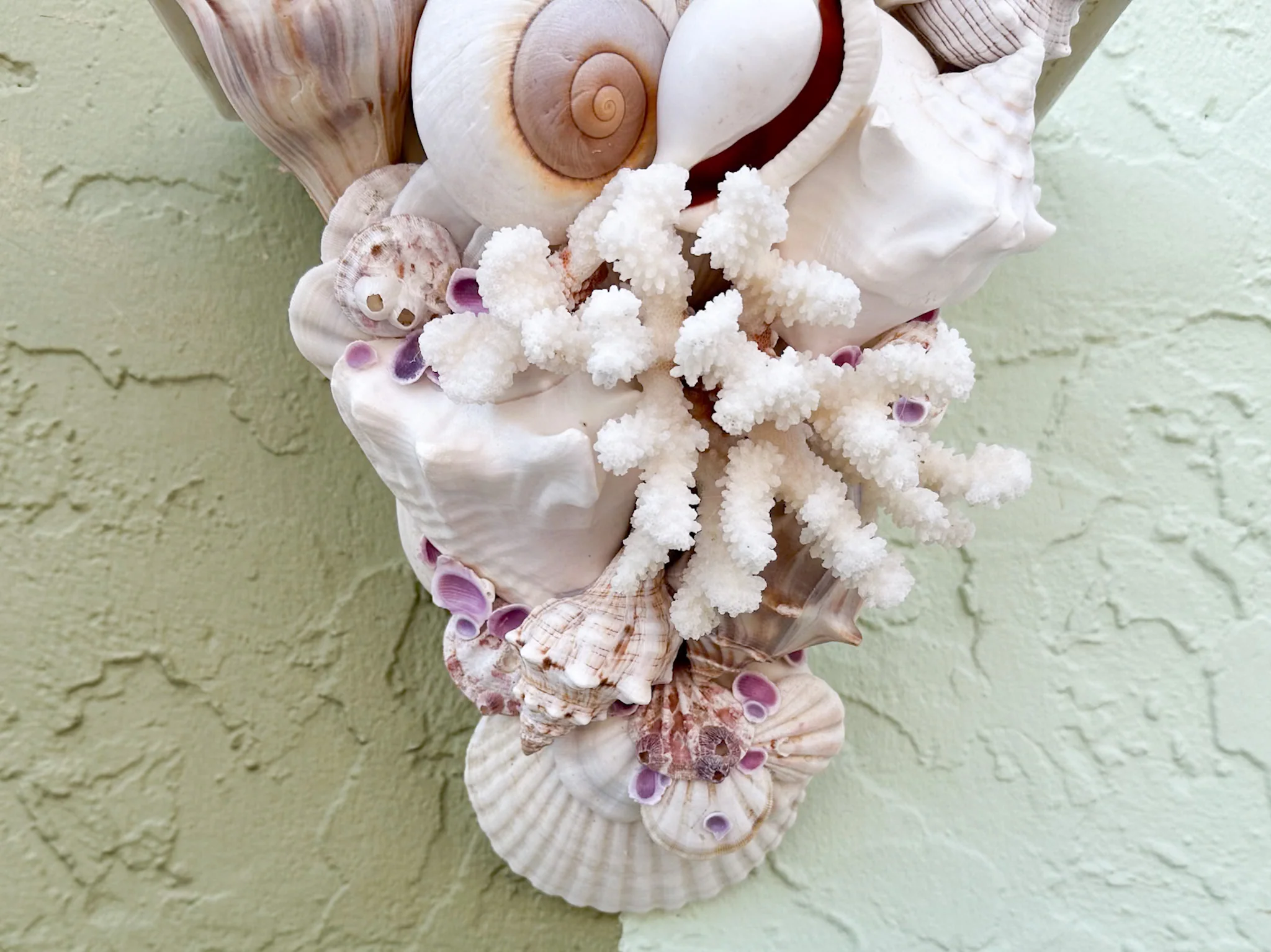 Shell Chic Wall Shelves - Image 9
