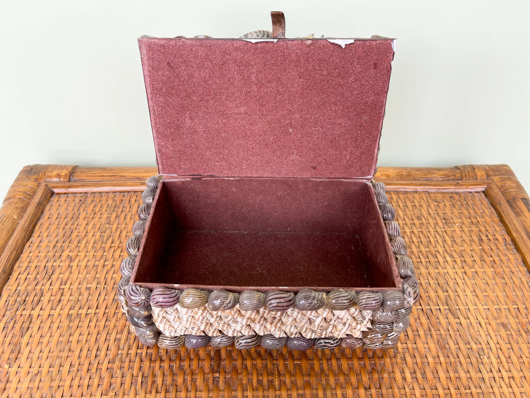 Shellegance Trinket Box - Image 4