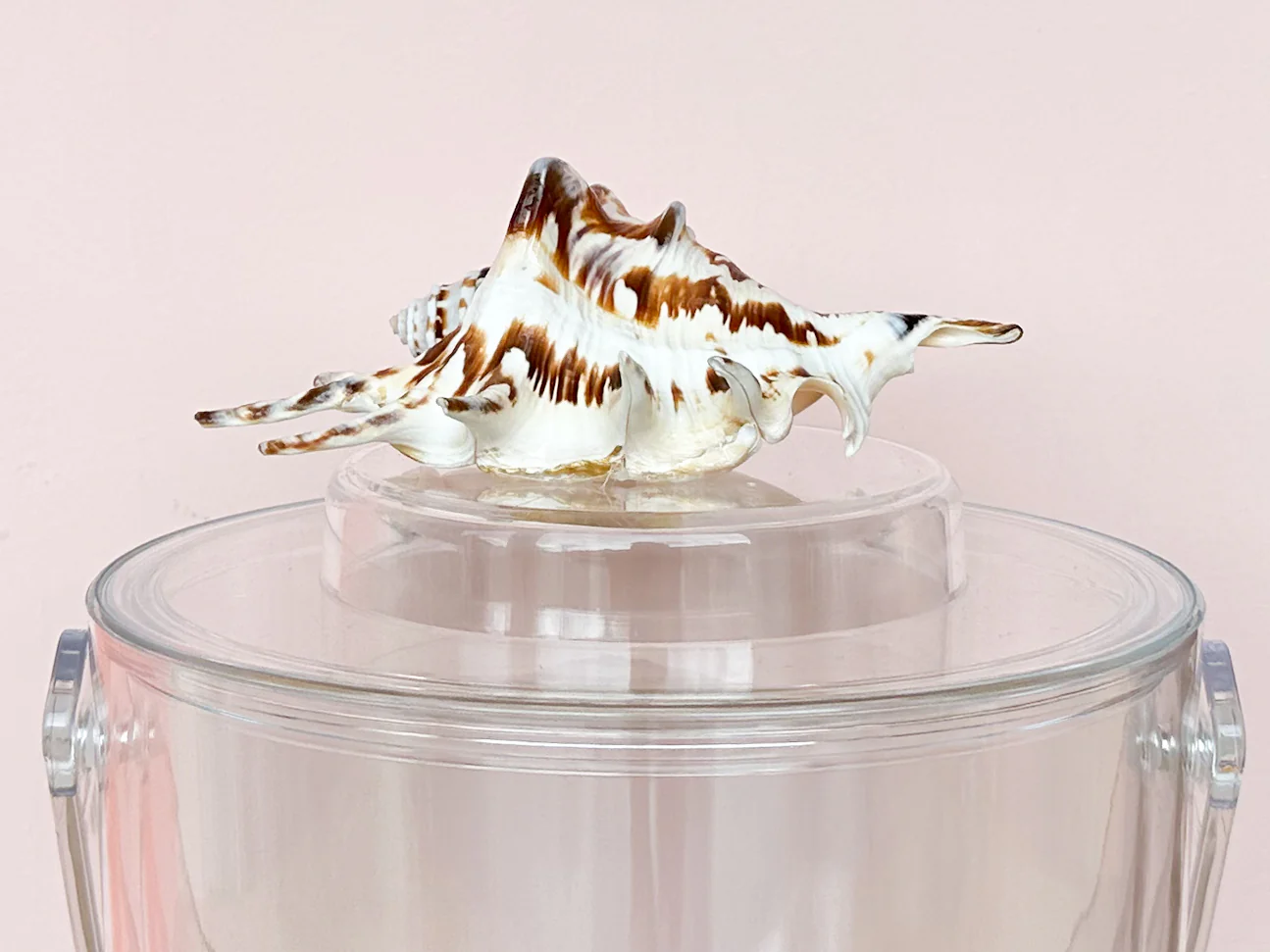 Spider Shell Lucite Ice Bucket - Image 4