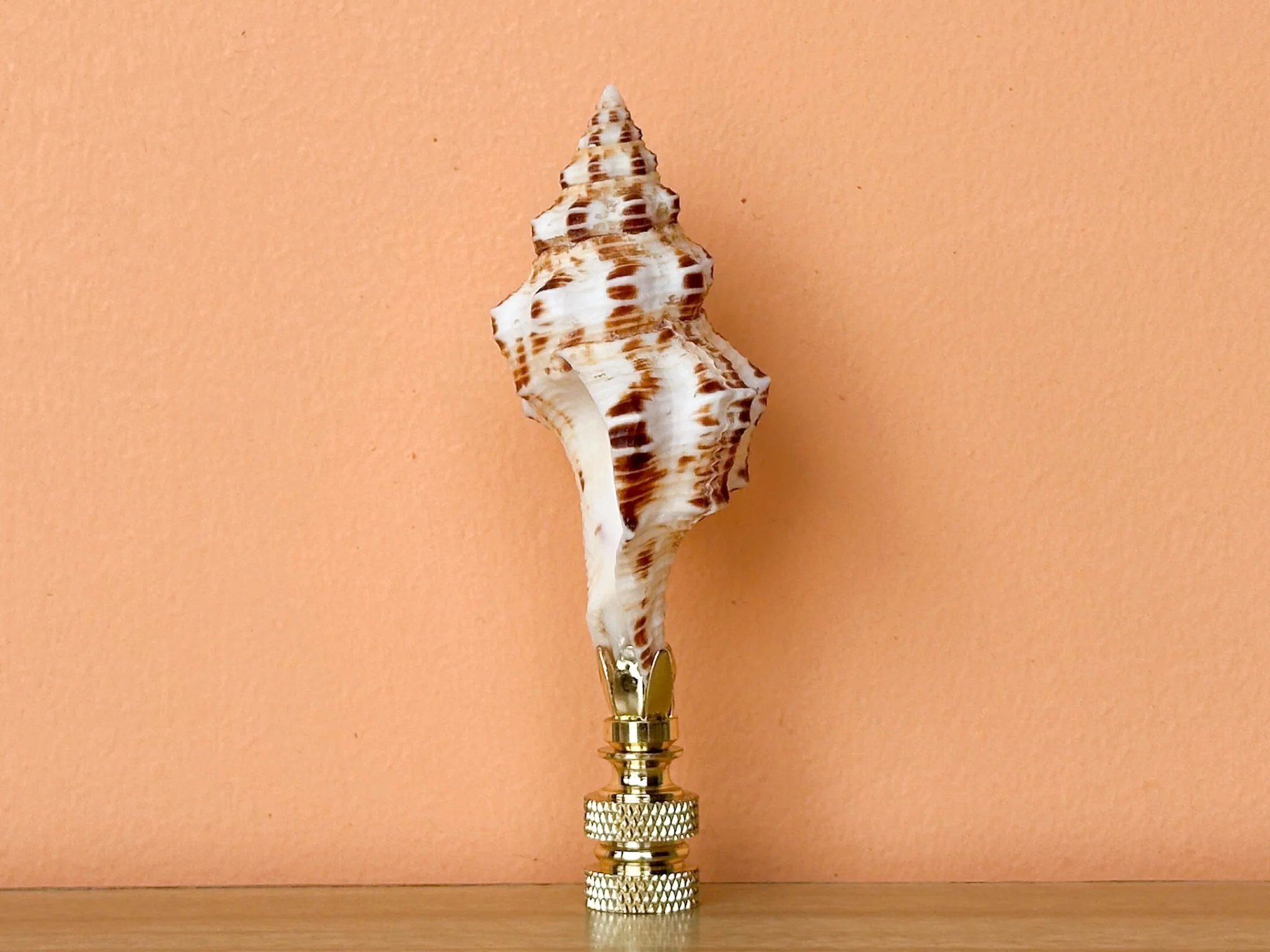 Spindle Shell Finial - Image 2