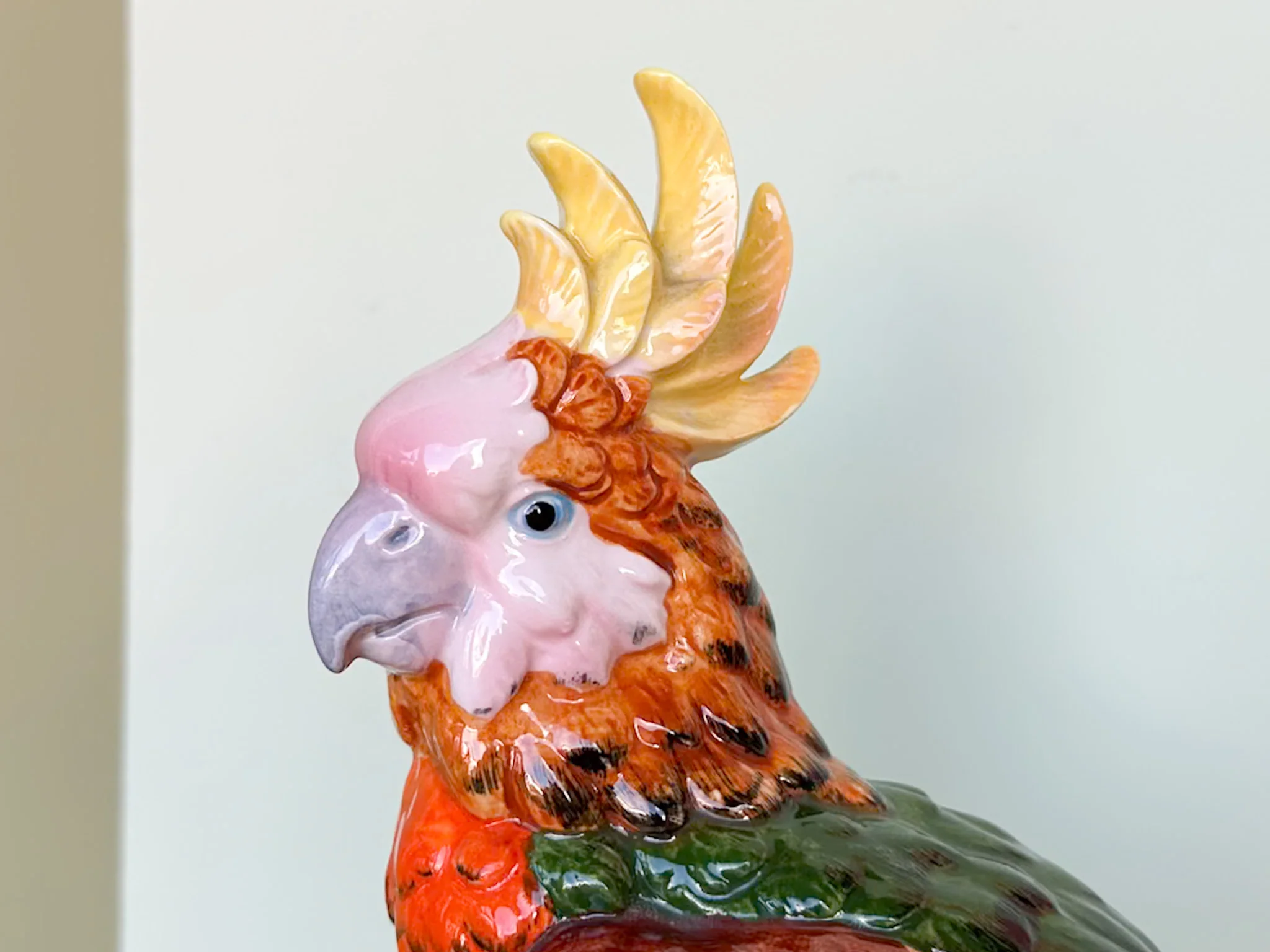 Tropical Stafford Cockatoo - Image 7