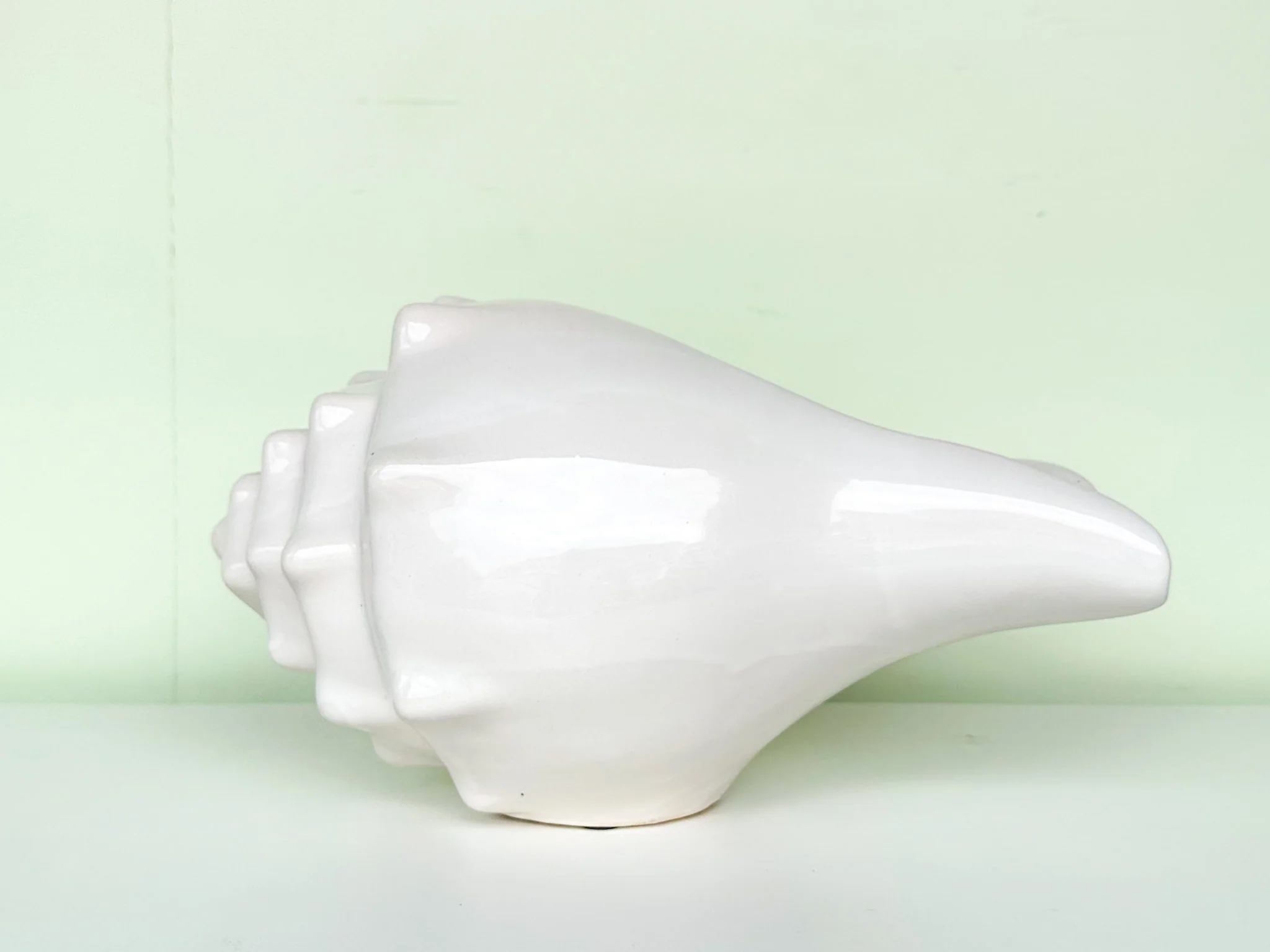 White Shell Cachepot